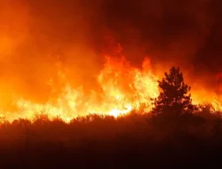 Bukit Gagoan Solok Terbakar, 30 Hektare Lahan Hangus, Api Masih Mengamuk