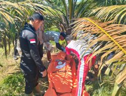 Kronologi 2 Perempuan Dibunuh di Kebun Sawit Solok Selatan, Korban Ngamuk Rekeningnya Dikuras