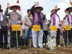 Pemkab Solok minta Unand bantu riset pengembangan pertanian-pariwisata