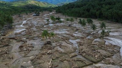 Danau Singkarak Tertutup Lautan Kayu Gelondongan Pasca Banjir Bandang, Solok Hadapi Tantangan Besar