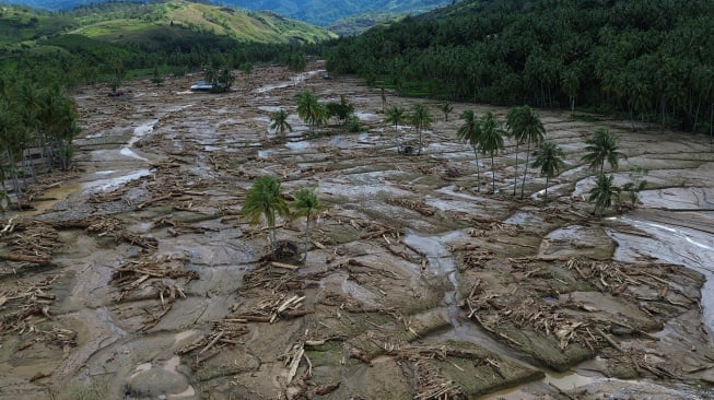 Danau Singkarak Tertutup Lautan Kayu Gelondongan Pasca Banjir Bandang, Solok Hadapi Tantangan Besar