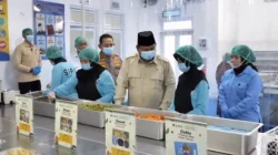 Defisit APBN Membesar: Prabowo Harus Menata Ulang Program Prioritas