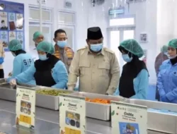 Defisit APBN Membesar: Prabowo Harus Menata Ulang Program Prioritas